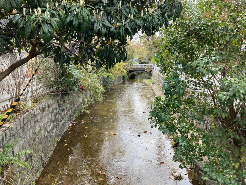 京都有数の色街・五条楽園