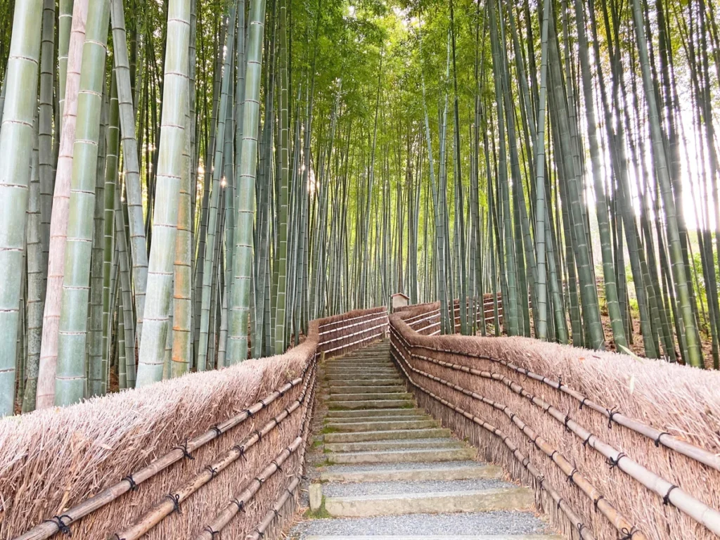 京都・化野念仏寺