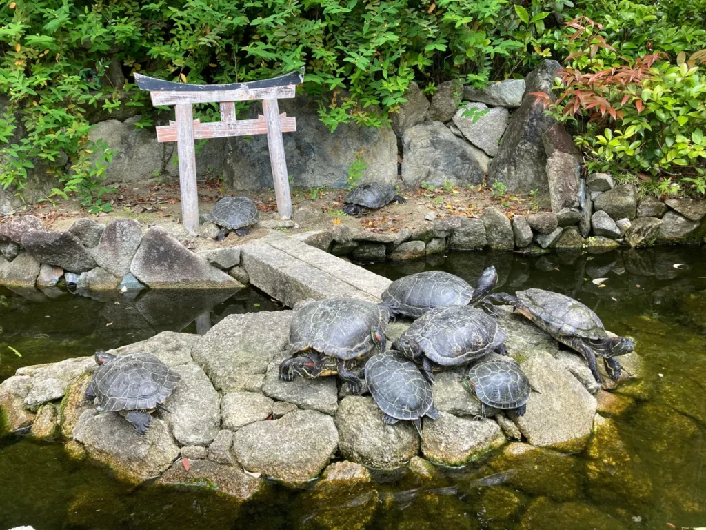 福岡・南蔵院