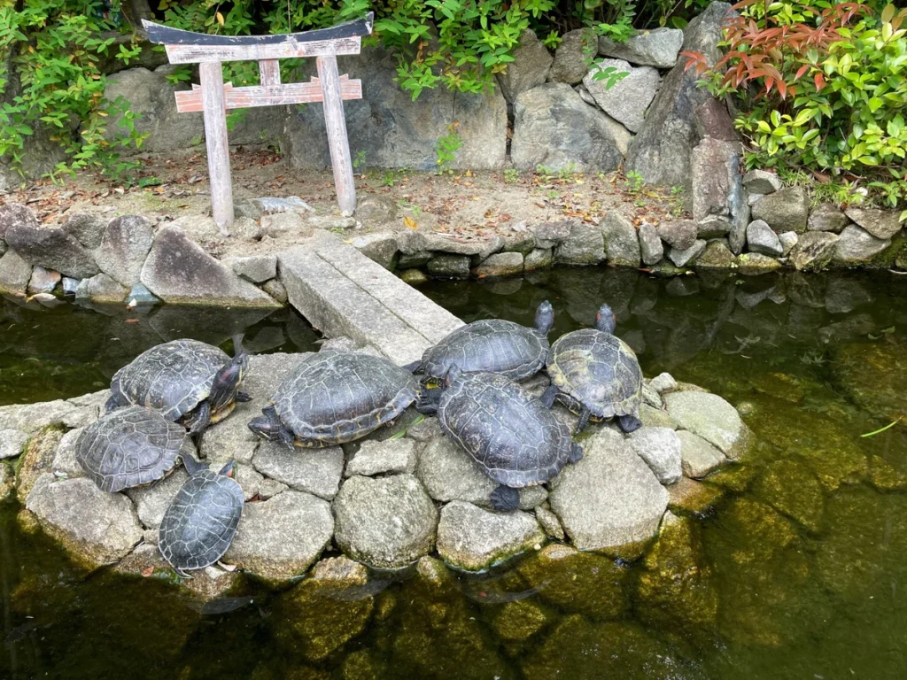 福岡・南蔵院