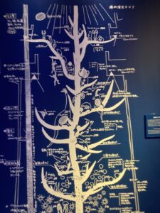 岡本太郎制作の太陽の塔