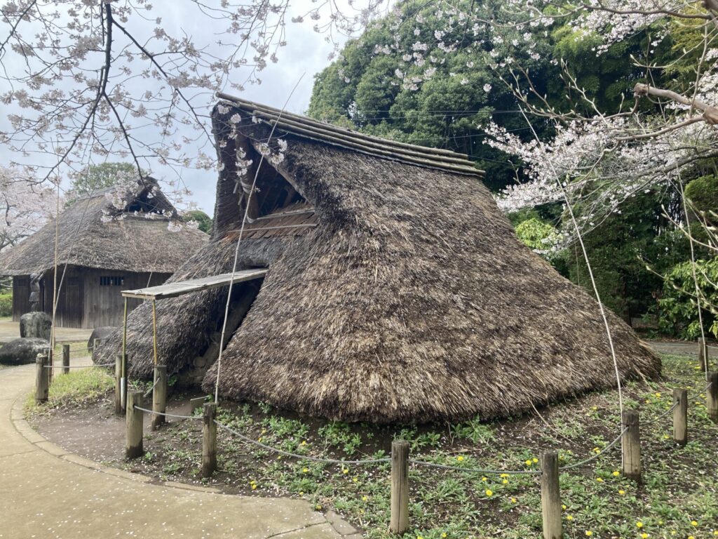 ダイダラボウで有名な水戸「大串貝塚ふれあい公園」