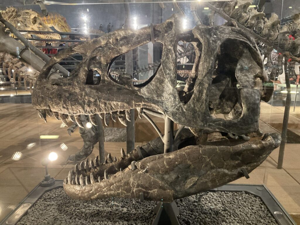 アロサウルス