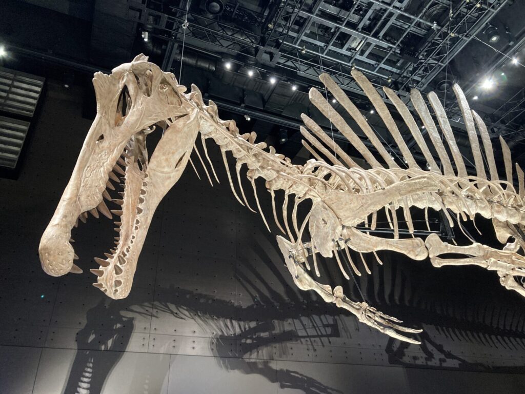 福井県立恐竜博物館