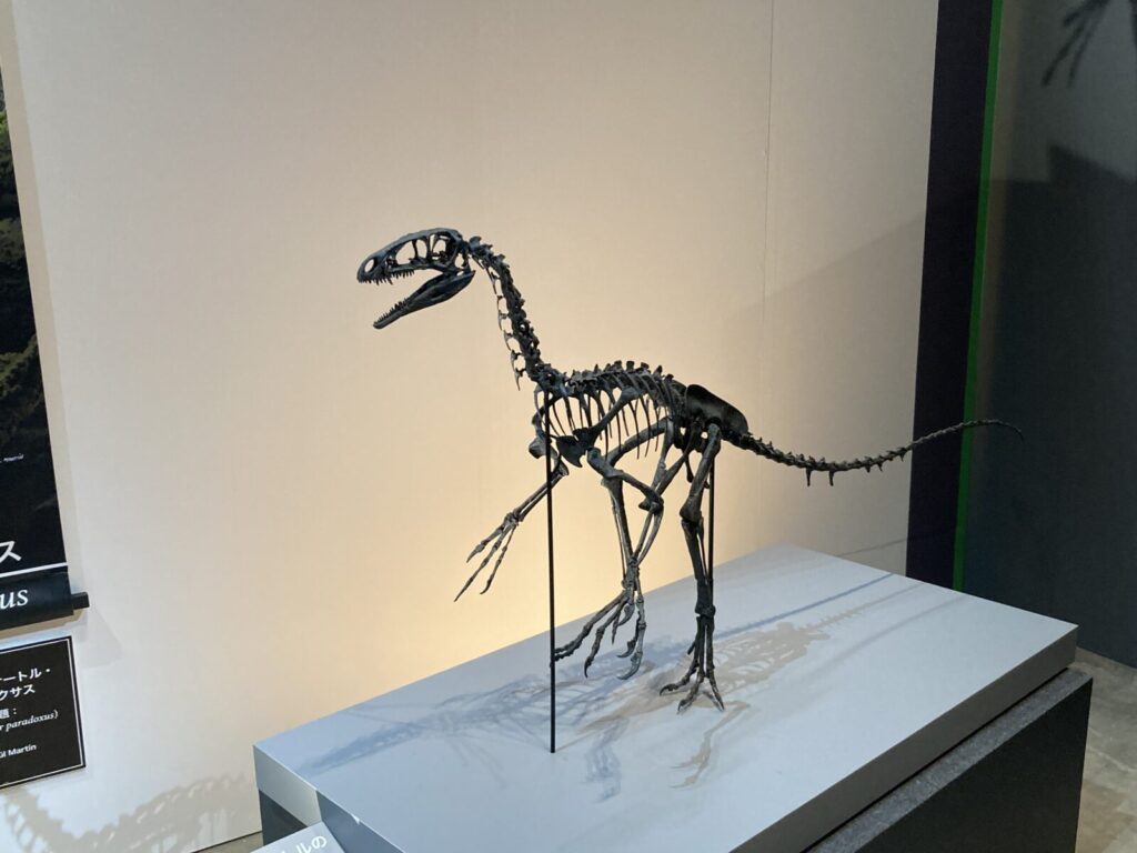 福井県立恐竜博物館