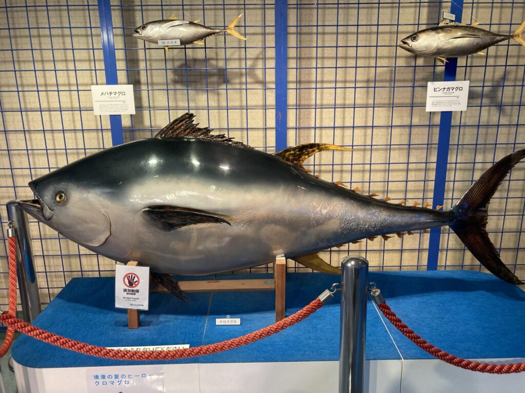 鳥取県境港市にある「海とくらしの史料館」