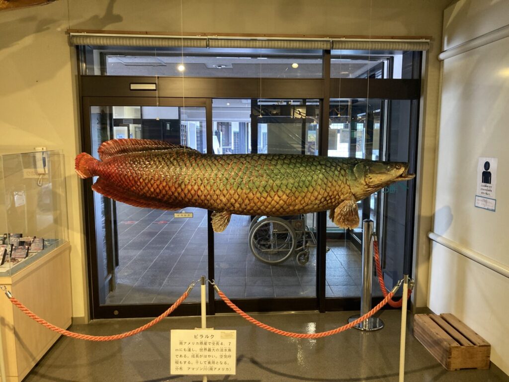 鳥取県境港市にある「海とくらしの史料館」