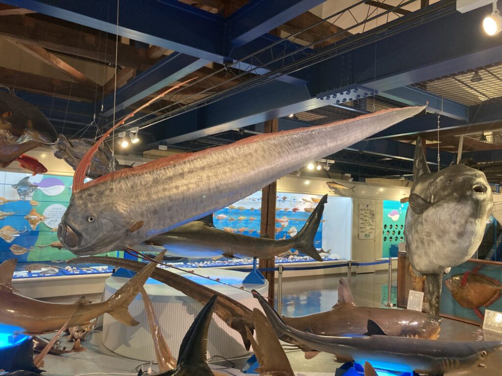 鳥取県境港市にある「海とくらしの史料館」