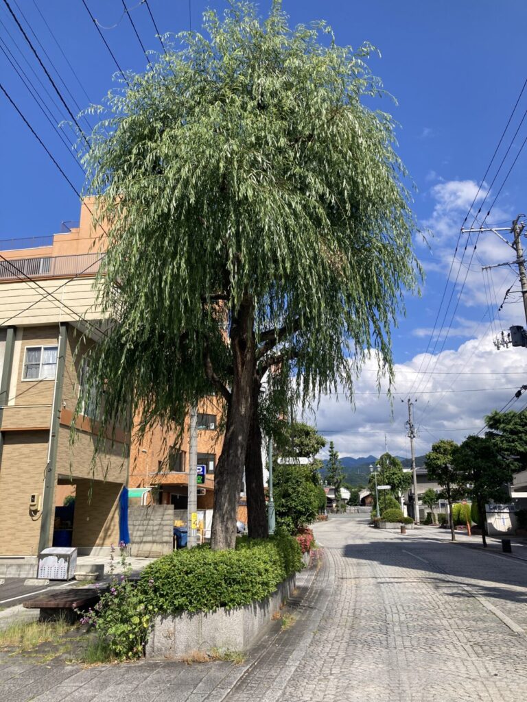 小姓町遊郭