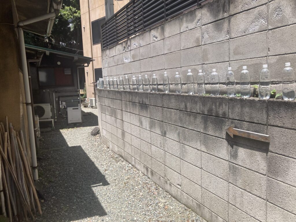 松蓮社