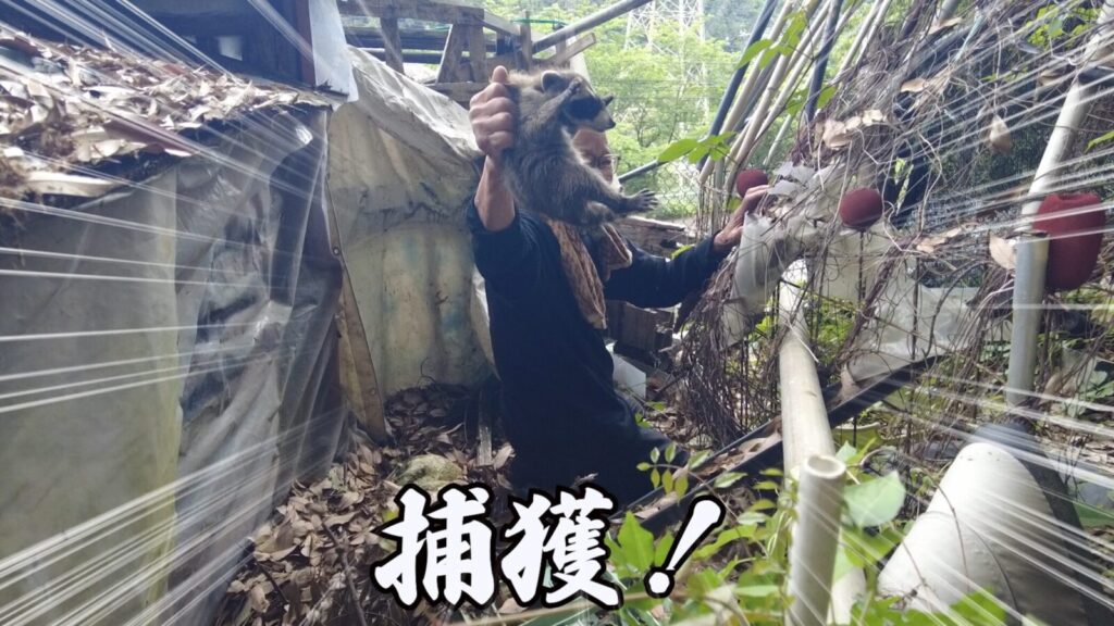 佐賀「びっくりハウス」