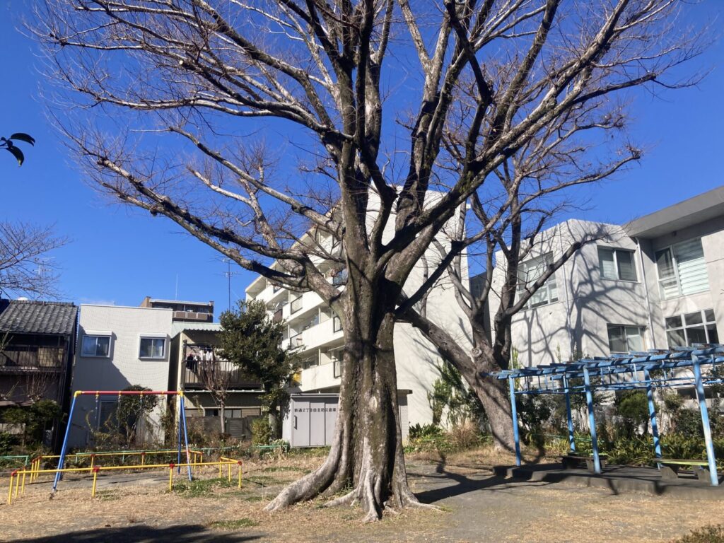 安倍川町公園