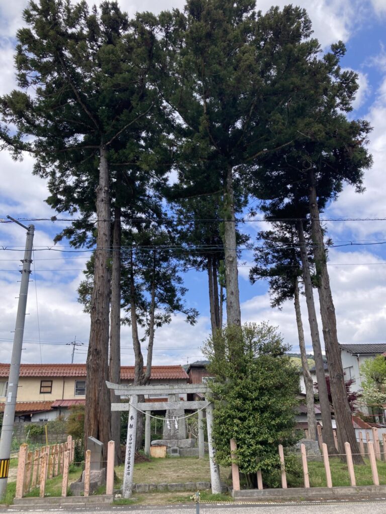 八本杉
