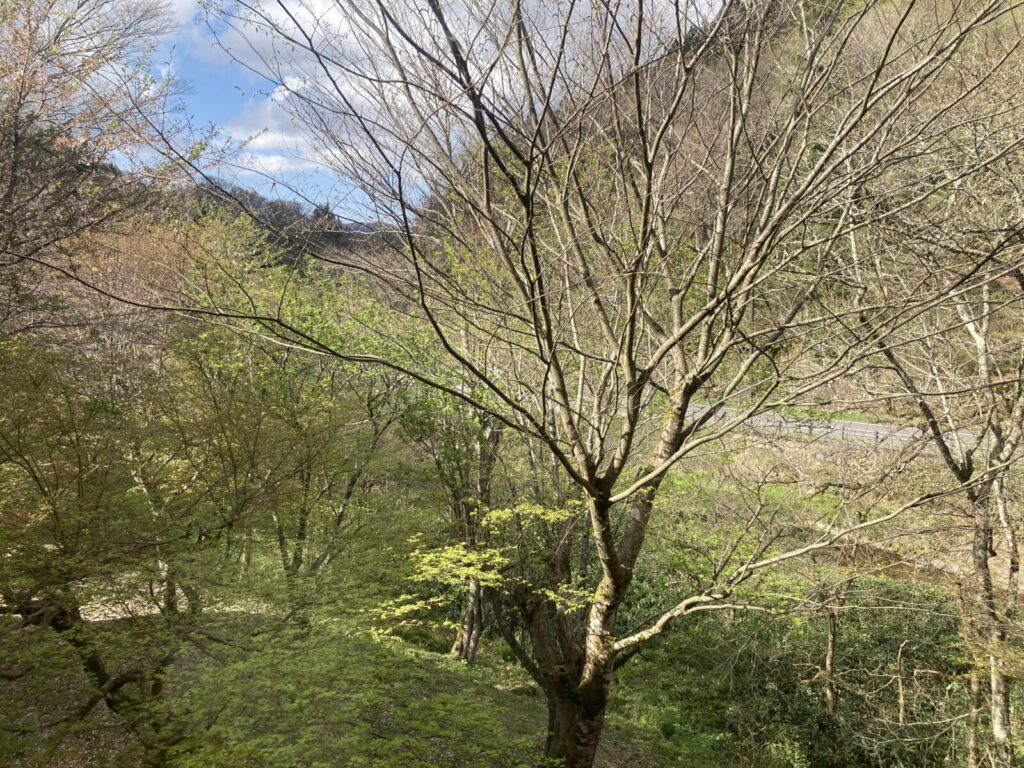 斐乃上温泉