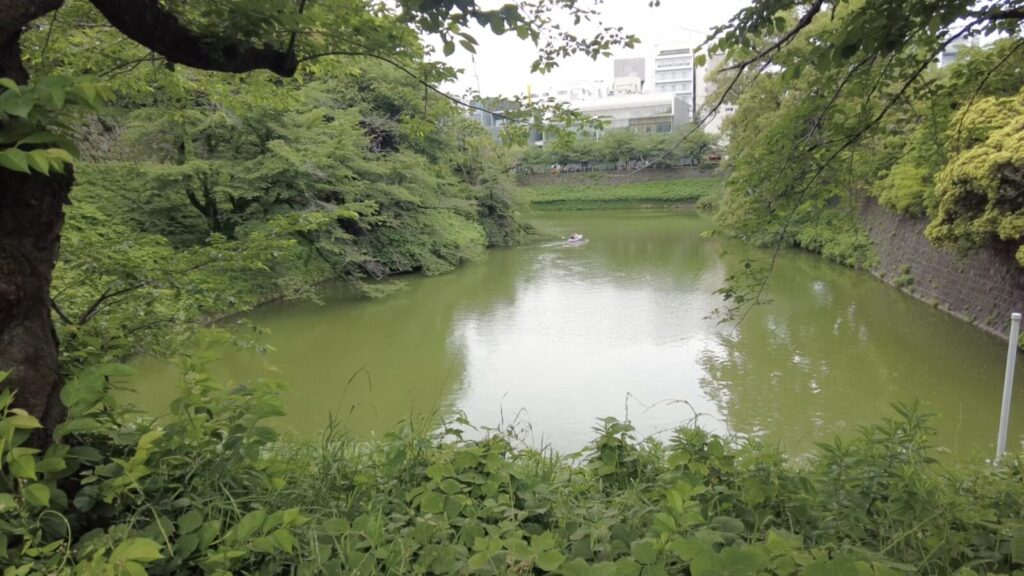 千鳥ヶ淵(土橋の右側)